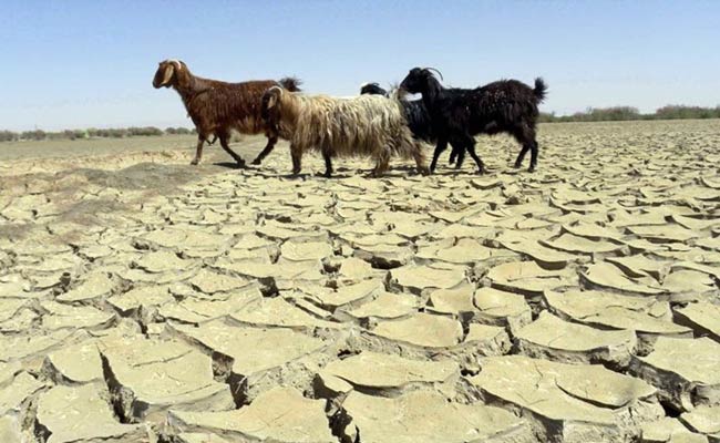 بیانیه-قاطع-انجمن-های-علمی-کشاورزی-2