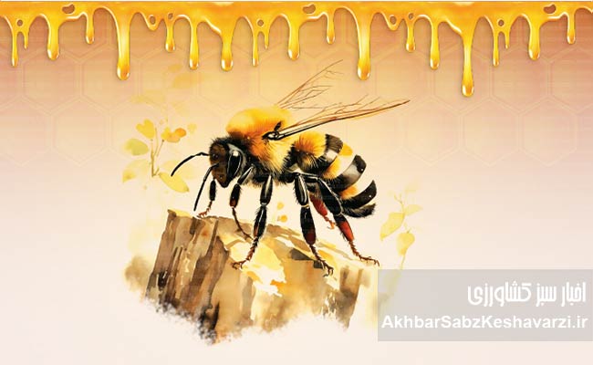 حقایقی-درباره-زنبوران-عسل-3