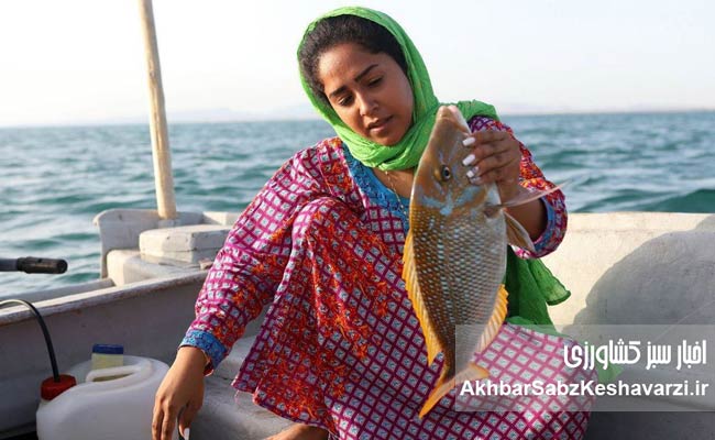 زنانی-که-ستون-پنهان-صنعت-شیلات‌اند.jpg-1