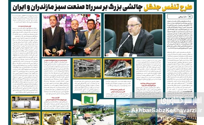 صنعت-چوب-و-کاغذ-مازندران؛-محور-توسعه-سبز-کشور