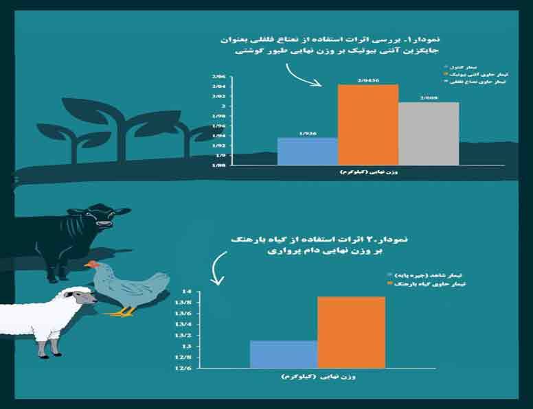 شركت طلای طبیعت کوهرنگ