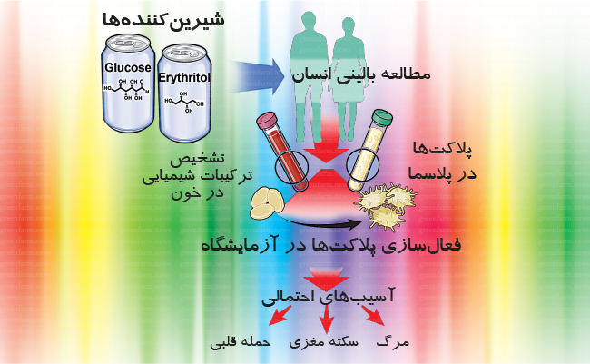 نقش شیرین‌کننده‌ها و  تولید لخته‌های خونی (2)