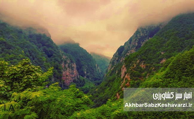 مرگ-تدریجی-«دوهزار»-و-«سه‌هزار»-1