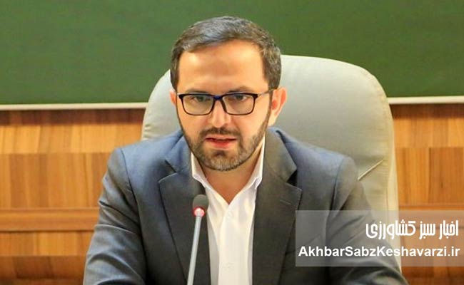 استقبال-۱۷۷-همتی-از-اعتبار-دیجیتال-«نوی‌پو»؛-سیگنال-جدید-تأمین-مالی-تولید