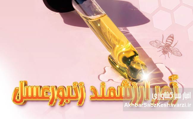 زهر-ارزشمند-زنبورعسل-2