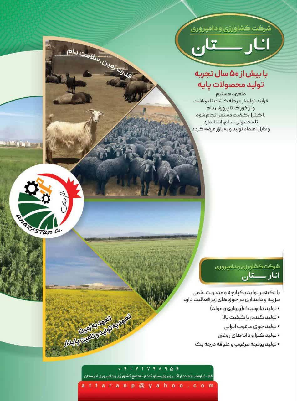 انارستان-کشاورزی-دامپروری