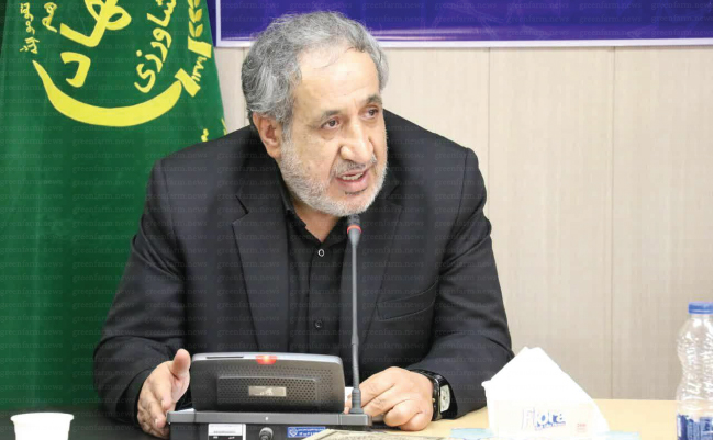 امسال یک کیلوگرم امحای سیب‌زمینی نداشتیم 3