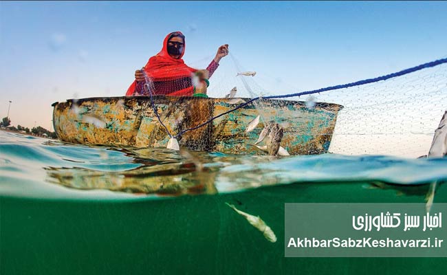 زنانی-که-ستون-پنهان-صنعت-شیلات‌اند