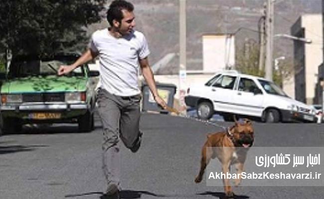 ممنوعیت-سگ-گردانی1