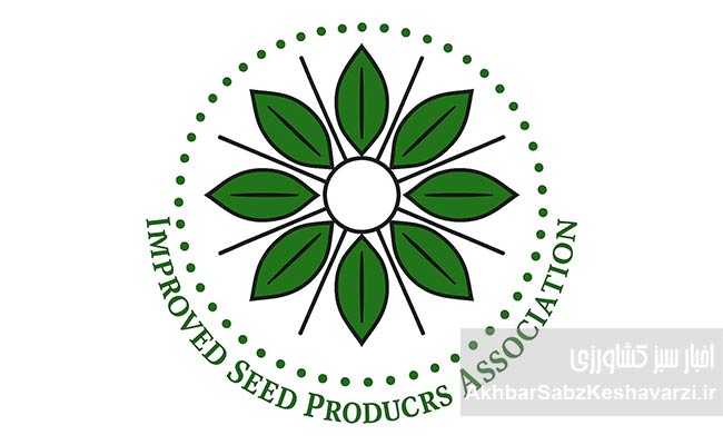 افزایش-قیمت-خرید-گندم؛-پاداشی-برای-استفاده-از-بذرهای-اصلاح‌شده+-ویدئو.jpg-22