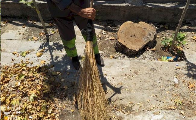 سایه-تهدید-بر-سر-۱۰۰-چنار-خیابان-ولیعصر1