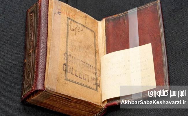 سوگند-تاریخی-شهردار-جدید-نیویورک-بر-قرآن؛-آغاز-فصل-تازه-قدرت+عکس.jpg-1.jpg-2