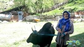 صفای خانه کدخدا در روستا

