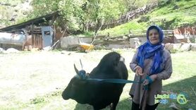 صفای خانه کدخدا در روستا

